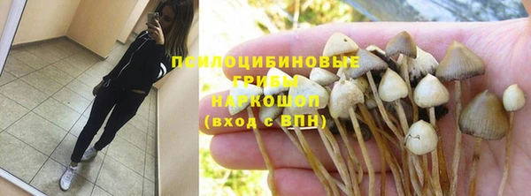 трава Армянск