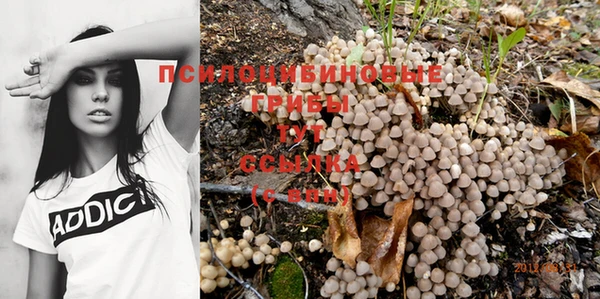 трава Армянск