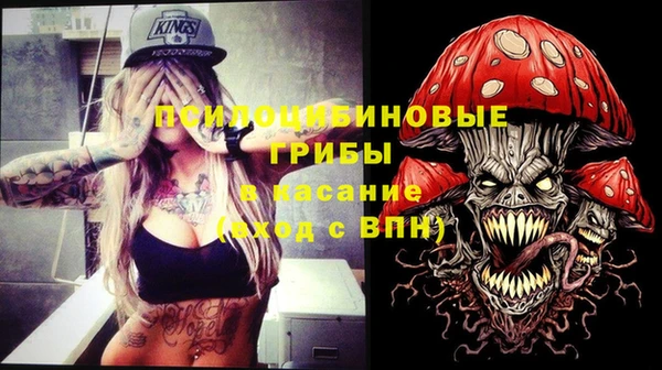 круглые Аркадак