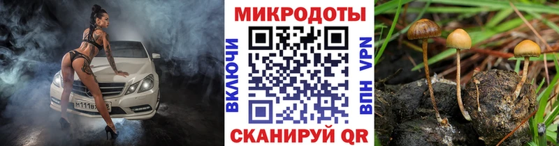 Галлюциногенные грибы GOLDEN TEACHER Рыбинск